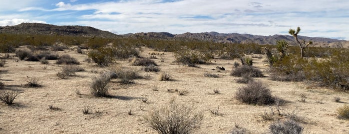 White Tank Campground is one of Joshua tree.