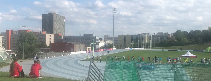 CESA - Sportovní areál VUT is one of sportovní haly na florbal.