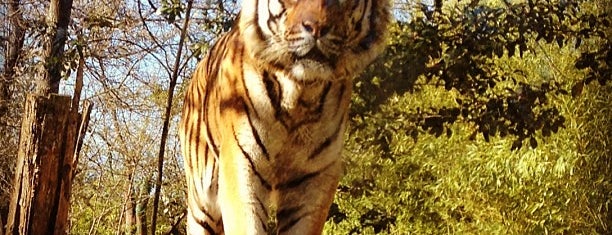 Zoo di Pistoia is one of Italy.