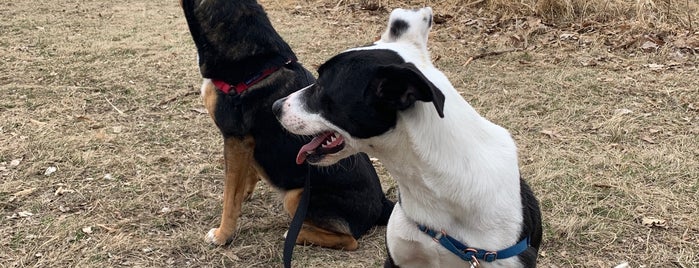 Wash Park Pond is one of Dog Adventures.