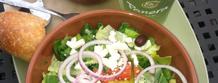 Panera Bread is one of The 15 Best Places for Grilled Sandwiches in Fort Lauderdale.