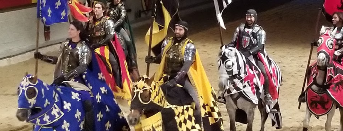 Medieval Times Dinner & Tournament is one of Atlanta, GA.