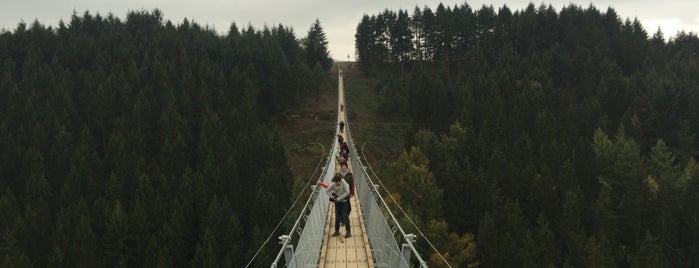 Hängeseilbrücke Geierlay is one of Abroad: Germany 🍻.