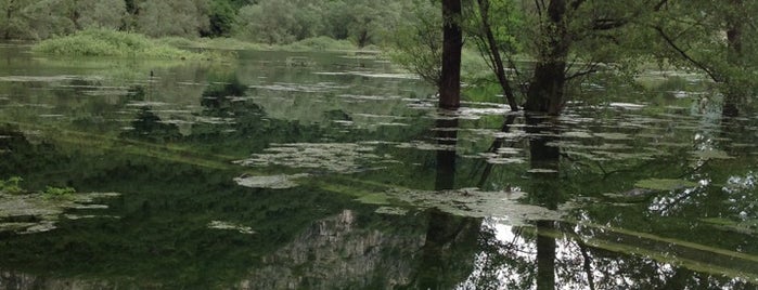 Lago di Loppio is one of Bolzano-dro tra ciclabili, musei e teatro.