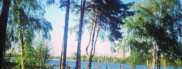 Где отдохнуть, погулять в Воронеже