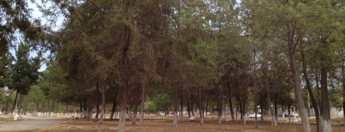 Jardín Lago espejo de los Liirios is one of สถานที่ที่ Tann ถูกใจ.