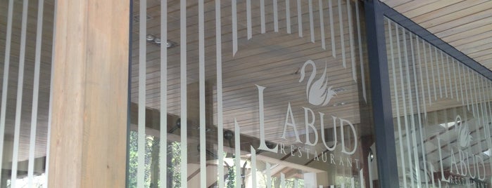 Restaurant Labud is one of Saraybosna.