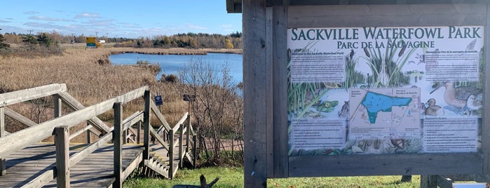 Sackville Waterfowl Park is one of Sackville must-visits.