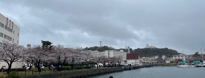 米軍横須賀基地 三笠公園入口 is one of 要修正1.