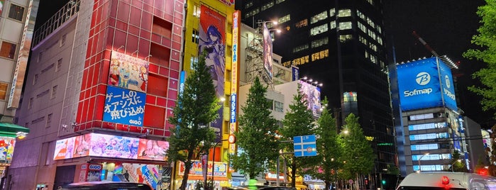 Akihabara Chuo-dori is one of 中央通りの散歩.