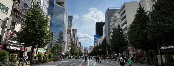 Akihabara Pedestrian Paradise is one of Tokyo-Ueno South.