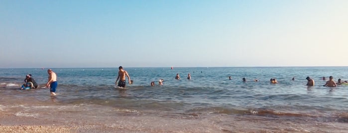 Beach No 7 is one of tt.'ın Beğendiği Mekanlar.