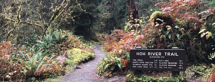 Hoh River Trailhead is one of Carolineさんのお気に入りスポット.