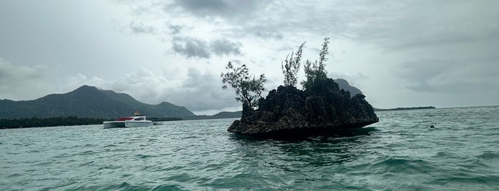 Crystal Rock is one of Mauritius.