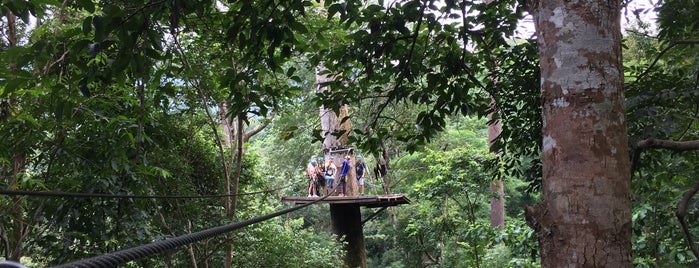 Eagle Track Zipline is one of Chang Mai.