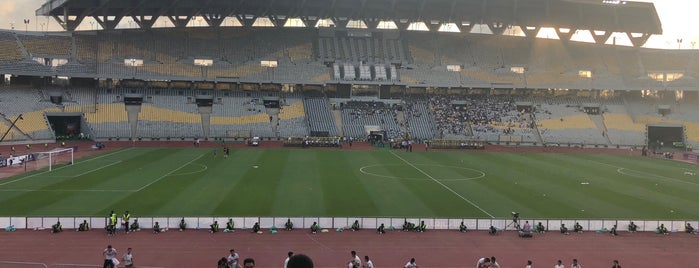 Borg El Arab Stadium is one of الاسكندريه.