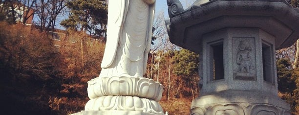 봉은사 is one of Buddhist temples in Gyeonggi.