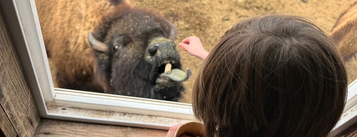 Terry Bison Ranch Resort is one of Colorado.