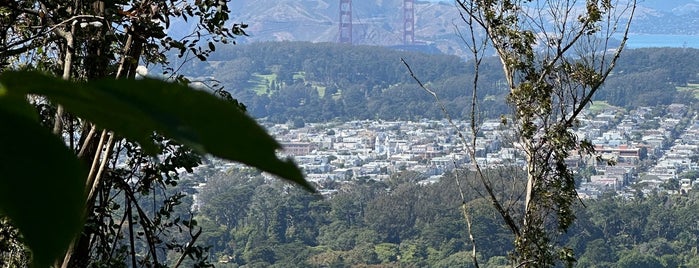Historic Trail is one of Hiking trails in and around San Francisco.