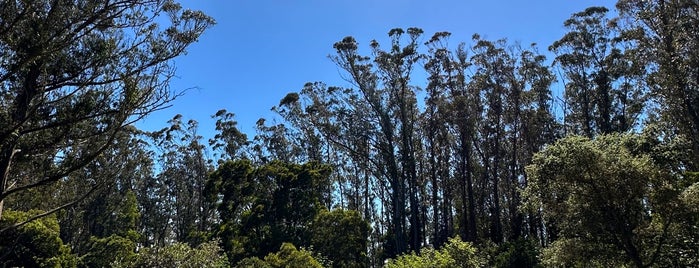 East Ridge Trail is one of Hiking trails in and around San Francisco.