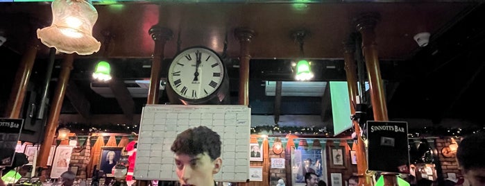 Sinnotts Bar is one of Top Dublin pubs.