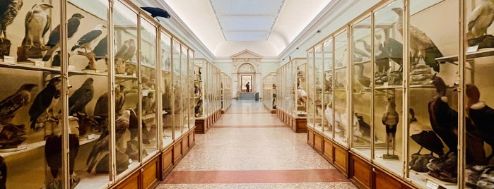 Palais de Rumine is one of Museums Around the World-List 2.