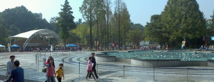 Children's Grand Park is one of Seoul #4sqCities.