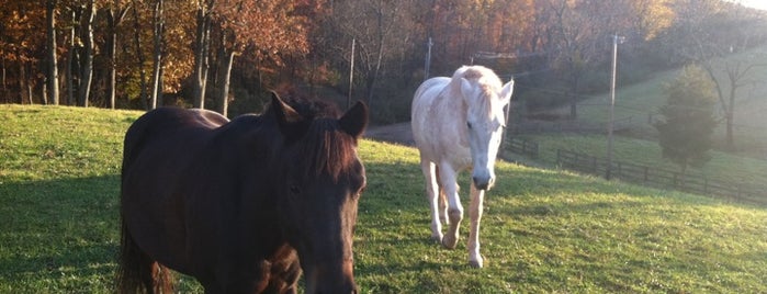 United States Equestrian Team Foundation is one of Road Trips (Under 3 Hours).