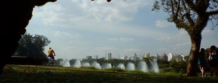 Parque Ibirapuera is one of São Paulo w/ kids.