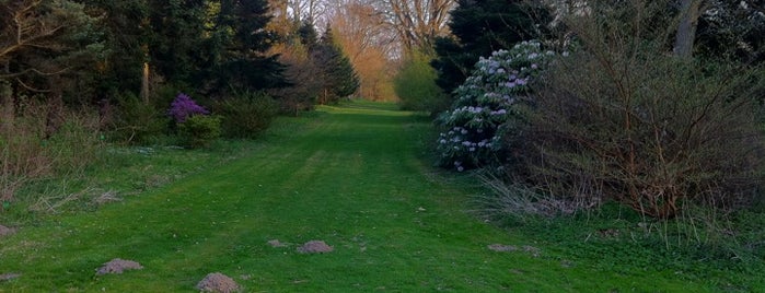 Arboretet is one of All-time favorites in Denmark.