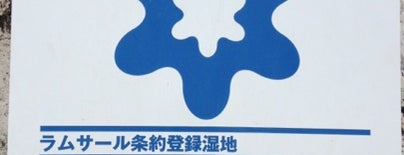 漫湖水鳥・湿地センター is one of ラムサール条約登録湿地(Ramsar Convention Wetland in Japan).