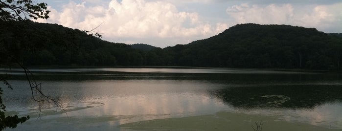 Radnor Lake State Park is one of Places I like to run.