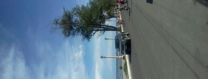 Rizal Boulevard is one of Must-visit Great Outdoors in Dumaguete City.