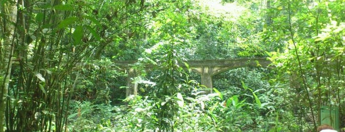 Parque Estadual da Pedra Branca is one of Rio De Janeiro Essentials.