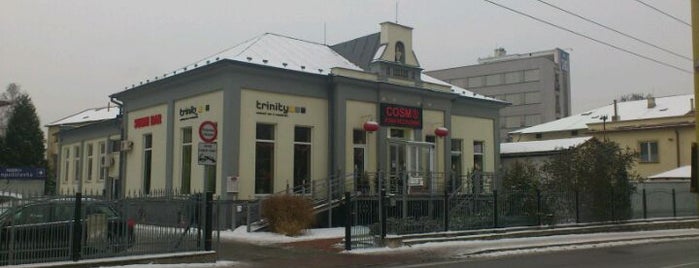 Cosmo is one of Sushi places Zilina.