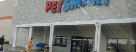 PetSmart is one of สถานที่ที่ Jackie ถูกใจ.