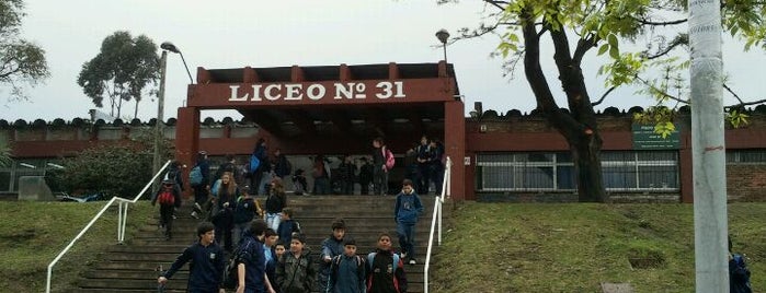 Liceo 31 MALVIN is one of Liceos.