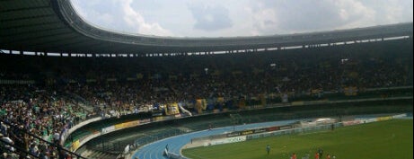 Stadio Marc'Antonio Bentegodi is one of Stadi Serie A.