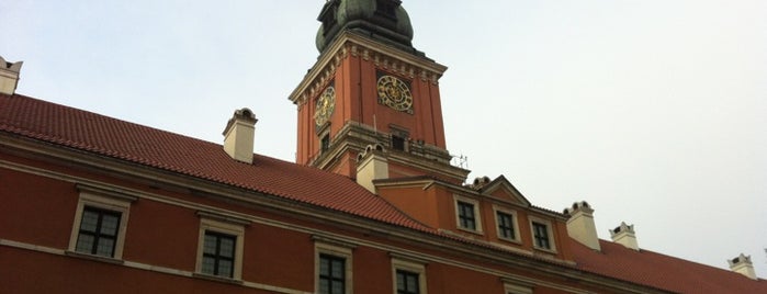 The Royal Castle is one of Stare Miasto i okolice.