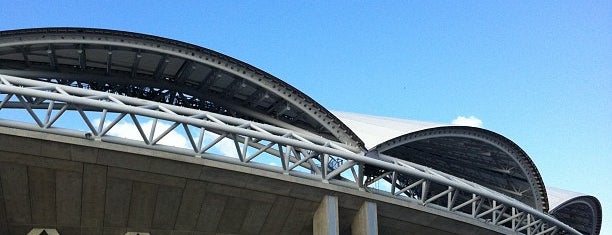 Denka Big Swan Stadium is one of Jリーグで使用されるスタジアム一覧.