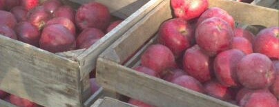 Long Grove Apple Festival is one of Autumn Activities.