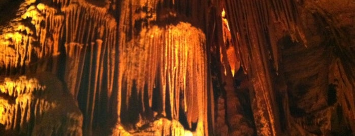 Shenandoah Caverns is one of Richard : понравившиеся места.