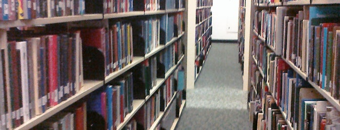 USF Library is one of Places I do work.