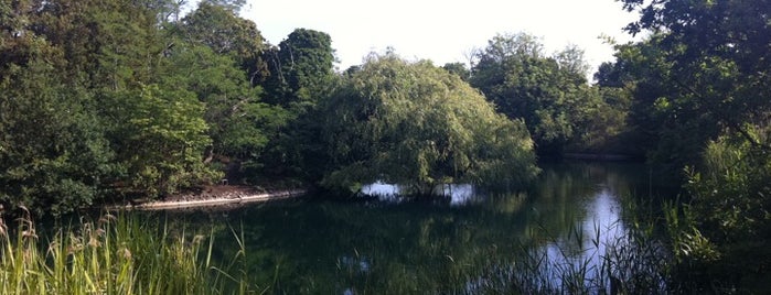 Dulwich Park is one of The Great Trees of London.