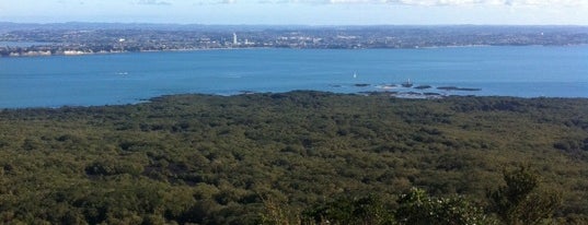 Rangitoto Island Summit is one of My favorite places.