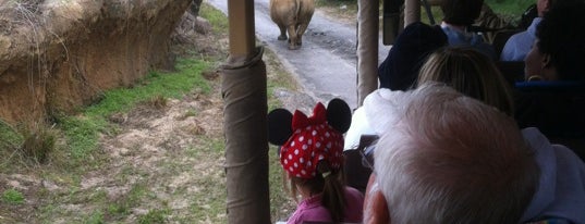 Kilimanjaro Safaris is one of My vacation @Orlando.