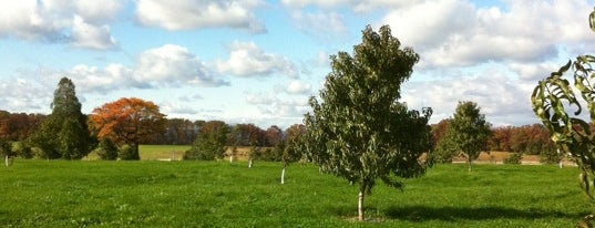 Peach Orchard At Gettysburg is one of Gettysburg Battlefield.