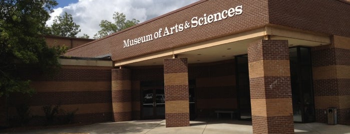 Museum of Arts and Sciences is one of Family Fun Attractions in Georgia.