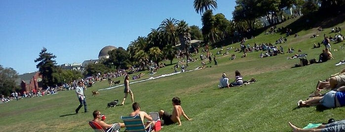 Mission Dolores Park is one of A Dog's San Francisco.