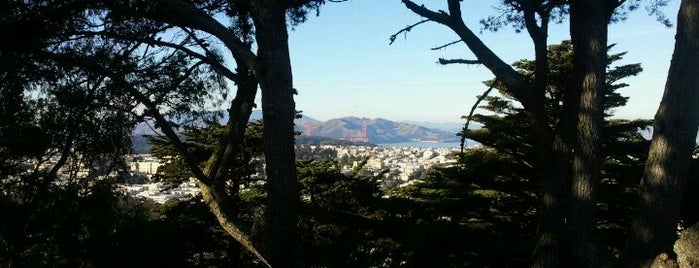 Buena Vista Park is one of San Francisco.